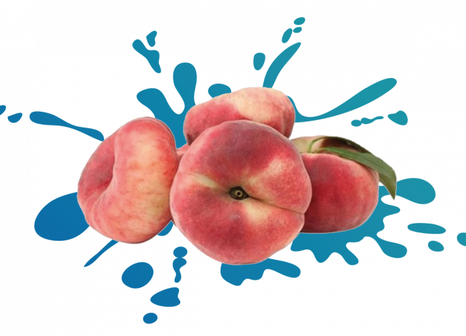 berries_bowl_blue
